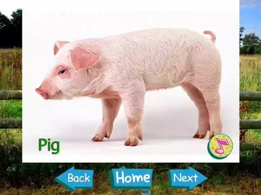 Play Animal Sounds  Pictures Kids