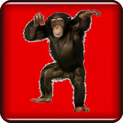 Play Animal Sounds & Ringtones APK