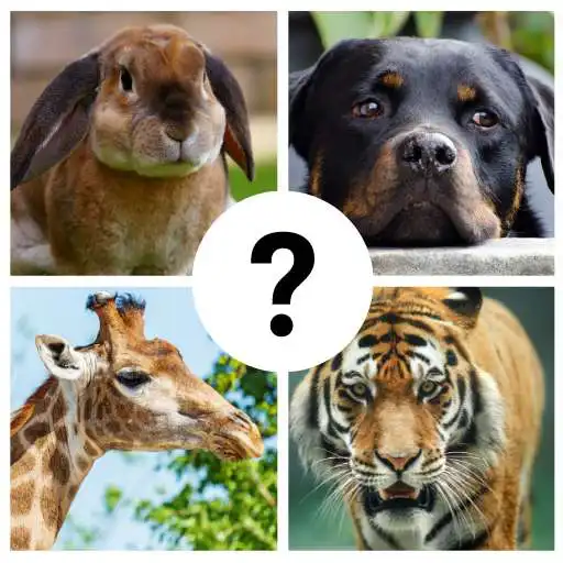 Play Animals Quiz : guess from the question APK