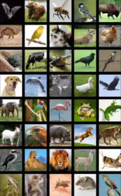 Play Animals Sound Box PRO