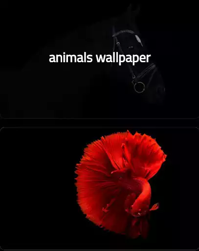 Play Animals Wallpapers  and enjoy Animals Wallpapers with UptoPlay