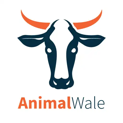 Play AnimalWale APK