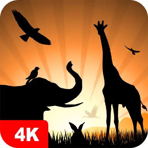 Play Animal Wallpapers 4K APK