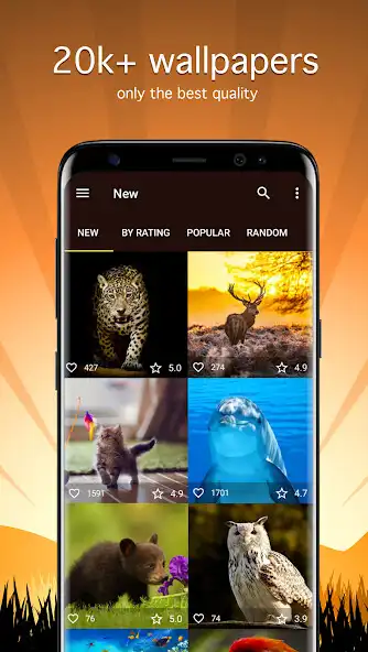 Play Animal Wallpapers 4K  and enjoy Animal Wallpapers 4K with UptoPlay