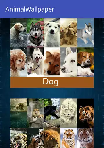 Play Animal Wallpaper  and enjoy Animal Wallpaper with UptoPlay