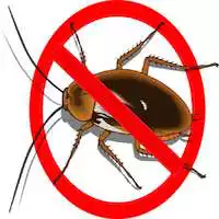 Free play online Anti Cockroach Repellent APK