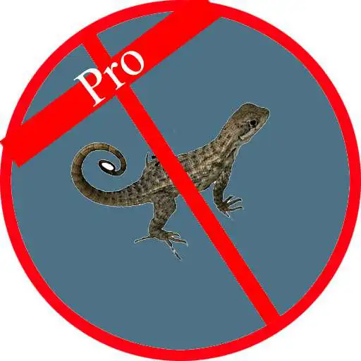 Free play online Anti Lizard APK