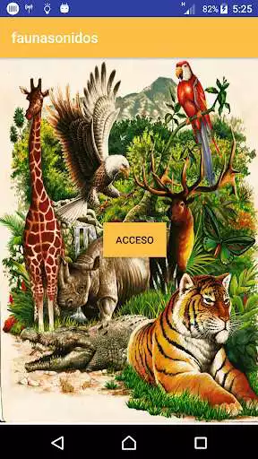 Play APP Fauna Selva Sonidos Animales  and enjoy APP Fauna Selva Sonidos Animales with UptoPlay