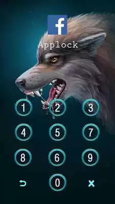 Play Applock Theme Wild Wolf