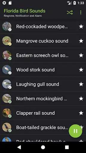 Play APK Appp.io - Florida Bird Sounds  and enjoy Appp.io - Florida Bird Sounds with UptoPlay io.appp.sounds.Florida_Bird