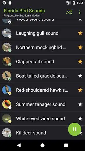 Play APK Appp.io - Florida Bird Sounds  and enjoy Appp.io - Florida Bird Sounds with UptoPlay io.appp.sounds.Florida_Bird