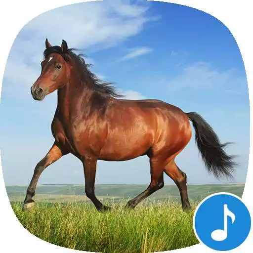 Free play online Appp.io - Horse Sounds APK