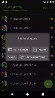 Play Appp.io - Horse Sounds