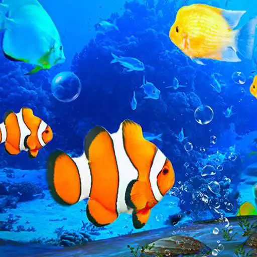 Free play online Aquarium Clown Fish Live Wallpaper 2019  APK