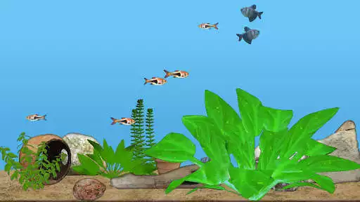 Play Aquarium Fish  and enjoy Aquarium Fish with UptoPlay