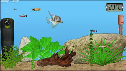 Play Aquarium Fish as an online game Aquarium Fish with UptoPlay