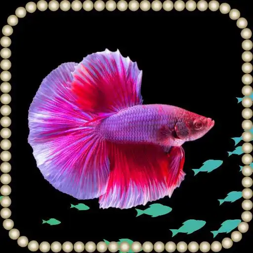 Play Aquarium Fish Wallpaper APK