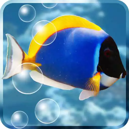 Free play online Aquarium Free Live Wallpaper APK