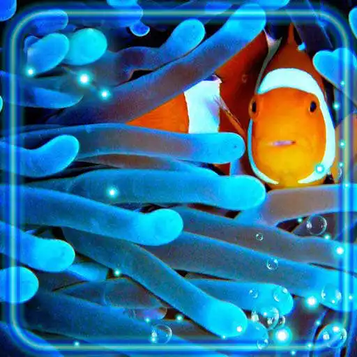 Play Aquarium Life Live Wallpaper APK