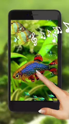 Play Aquarium Live Wallpaper  and enjoy Aquarium Live Wallpaper with UptoPlay