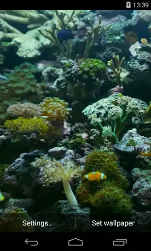 Play Aquarium Video Live Wallpaper  and enjoy Aquarium Video Live Wallpaper with UptoPlay