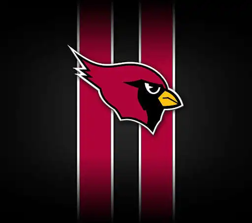 Play Arizona Cardinals Wallpaper as an online game Arizona Cardinals Wallpaper with UptoPlay