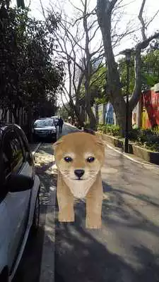 Play AR Puppy Camera