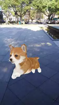 Play AR Puppy Camera