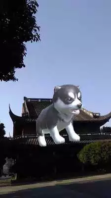 Play AR Puppy Camera