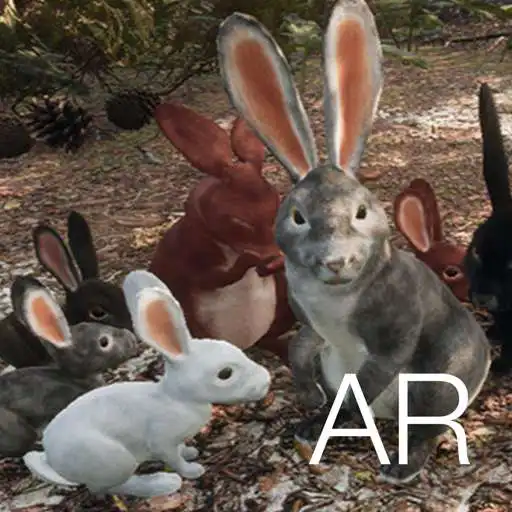 Play AR Rabbits APK