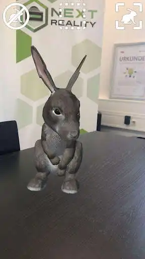 Play AR Rabbits  and enjoy AR Rabbits with UptoPlay