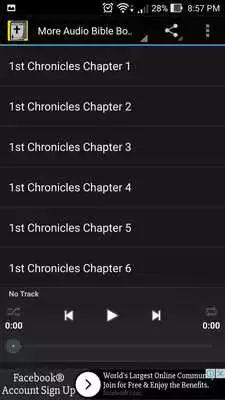 Play Audio Bible: 1 Chronicles 1-29