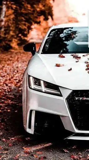 Play Audi RS6 Avant Wallpapers as an online game Audi RS6 Avant Wallpapers with UptoPlay