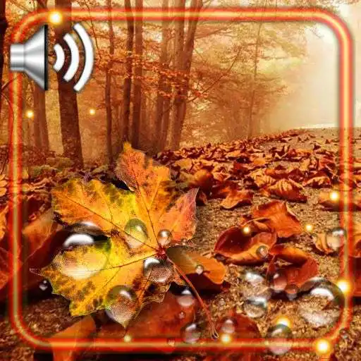 Play Autumn 2021 Gallery APK