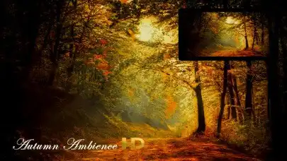 Play Autumn Ambience HD IAP  and enjoy Autumn Ambience HD IAP with UptoPlay