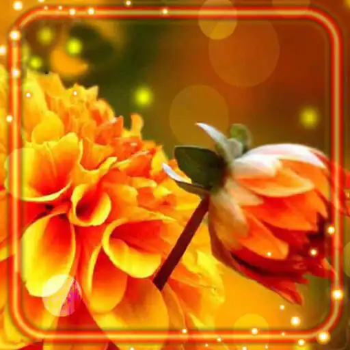 Free play online Autumn Flowers Live Wallpaper APK