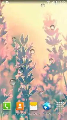 Play Autumn Flowers Live Wallpaper