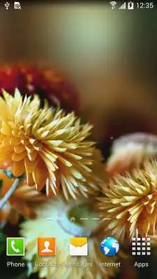 Play Autumn Flowers Live Wallpaper