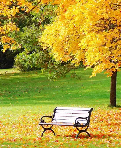 Play Autumn Garden Wallpaper  and enjoy Autumn Garden Wallpaper with UptoPlay