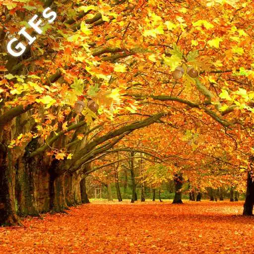 Play Autumn GIFs APK