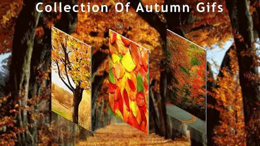 Play Autumn GIFs  and enjoy Autumn GIFs with UptoPlay