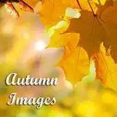 Free play online Autumn Images APK