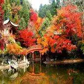 Free play online Autumn in Japan Wallpapers HD APK