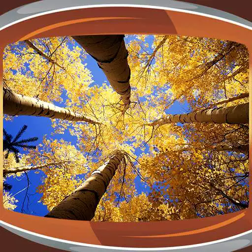 Free play online Autumn Live Wallpapers  APK