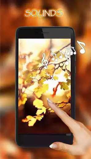 Play Autumn Music live wallpaper