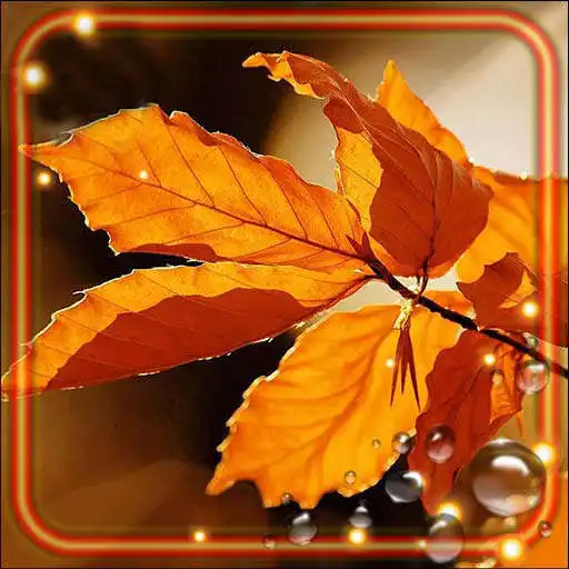 Play Autumn Sounds HD APK