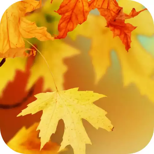 Free play online Autumn Video Wallpaper APK