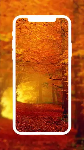 Play Autumn Wallpaper HD 4K as an online game Autumn Wallpaper HD 4K with UptoPlay