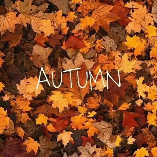 Play Autumn Wallpaper APK