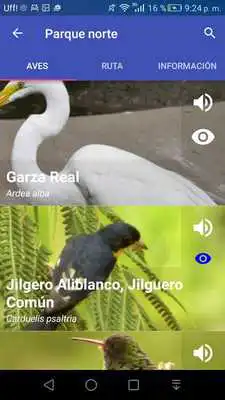 Play AvistApp. Avistamiento de Aves